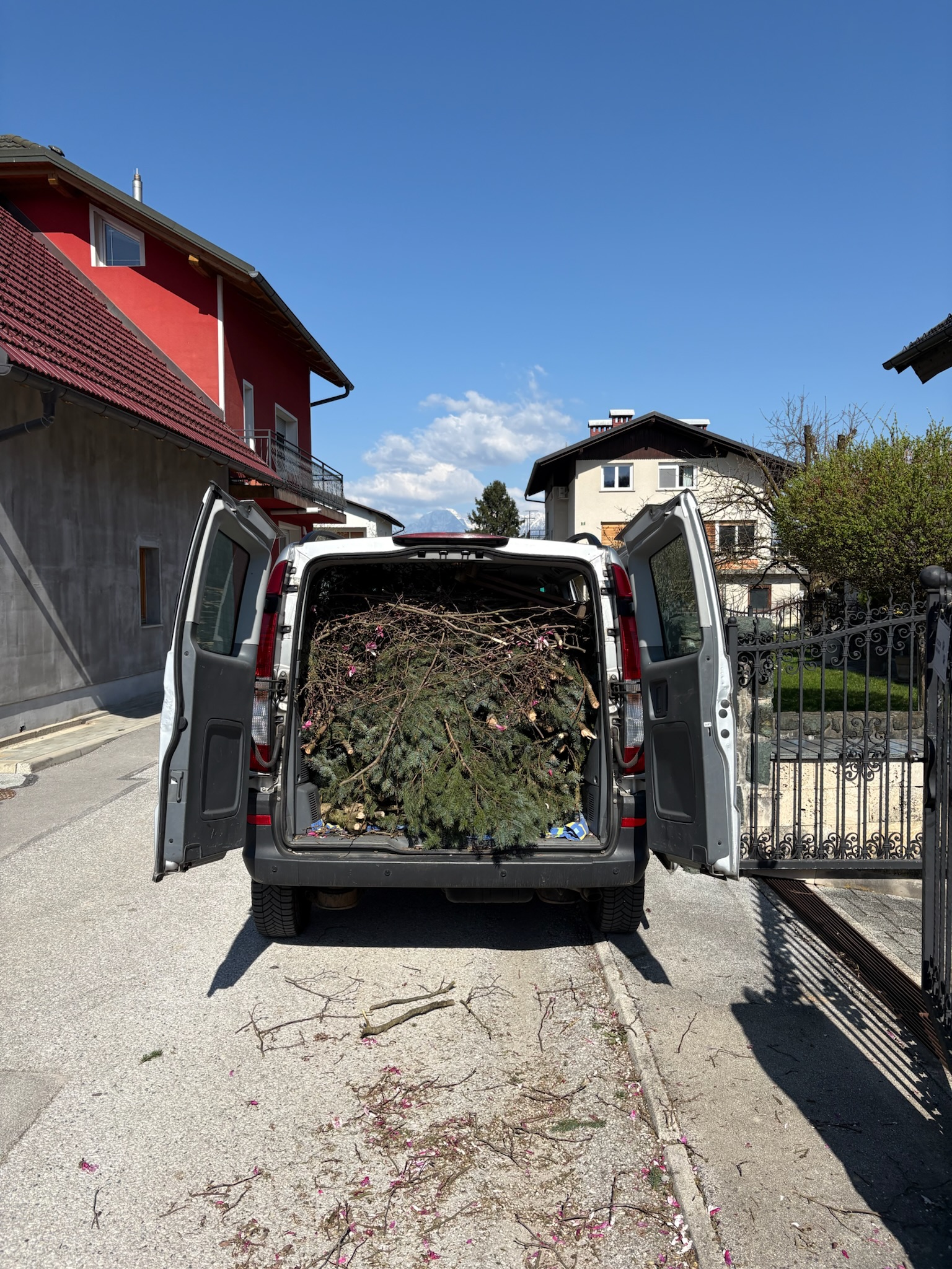 Višavc – arboristika