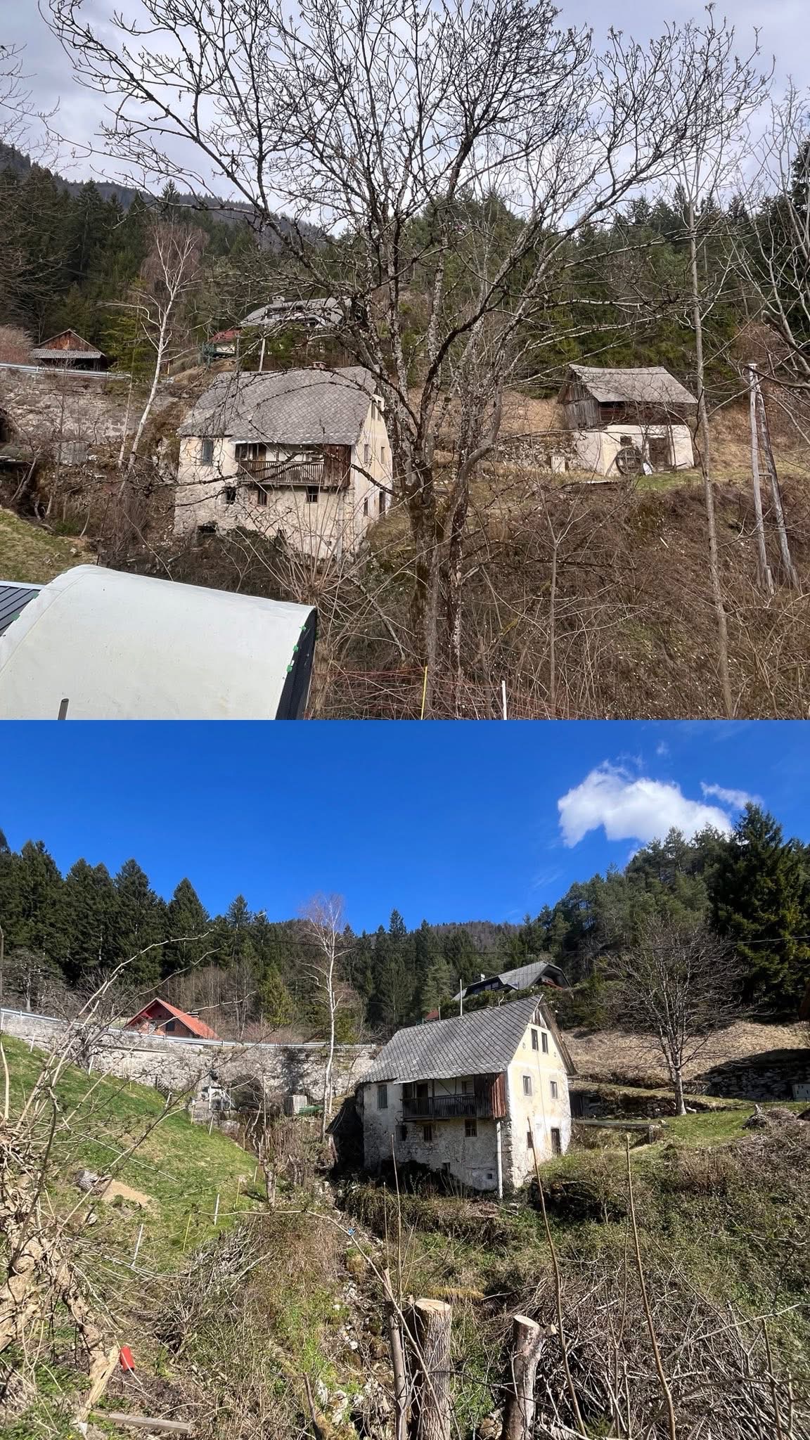 Višavc – arboristika